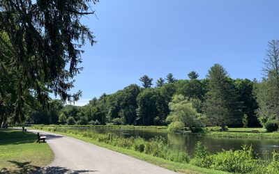 Historic Hike of Benson Park with Dana Benner, May 23rd