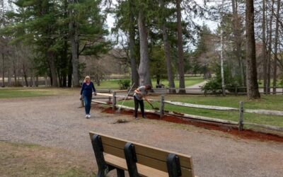 Cleanup Day & a Volunteer Meet-N-Greet