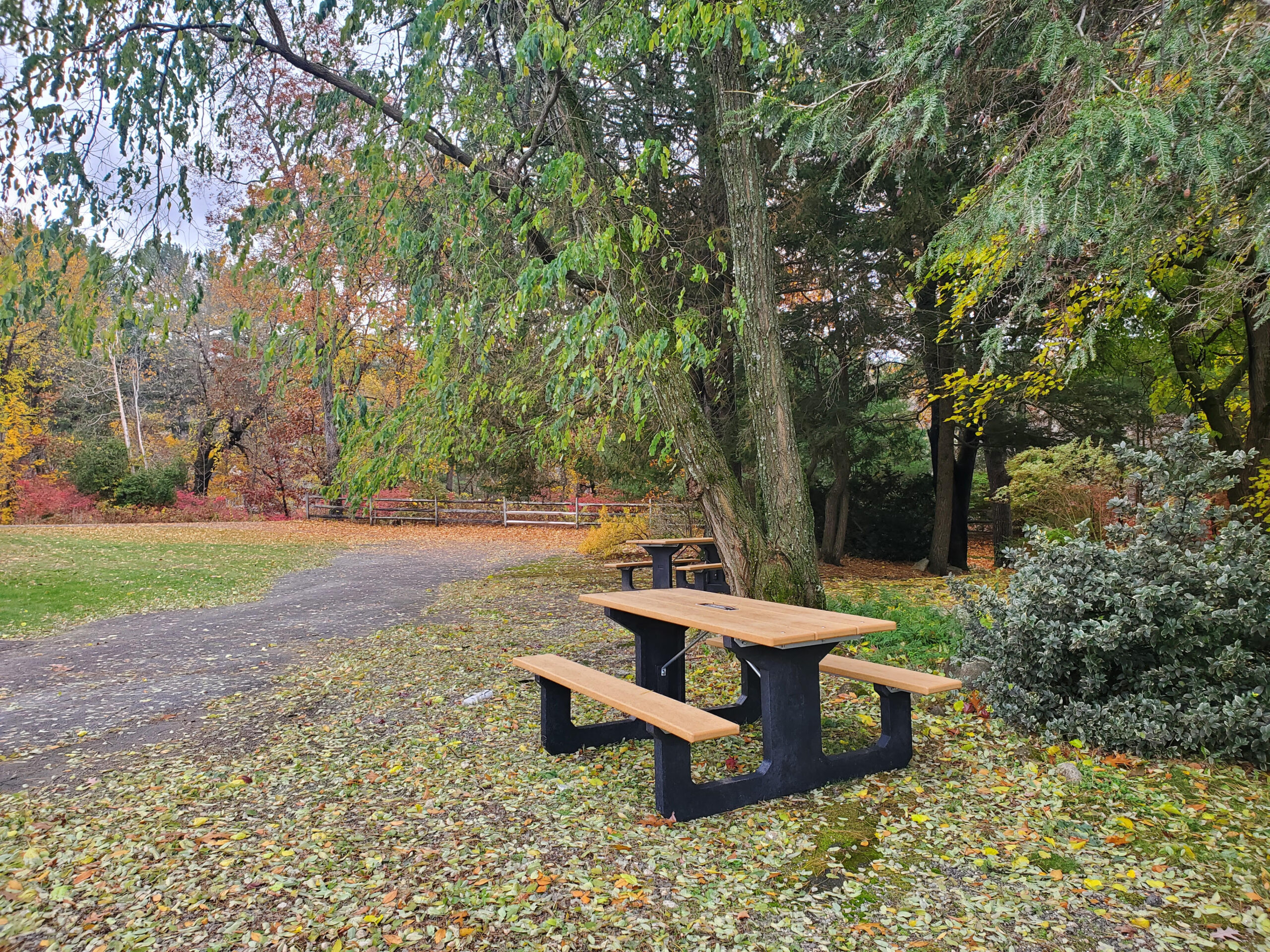 A bench outside Benson Park in the fall